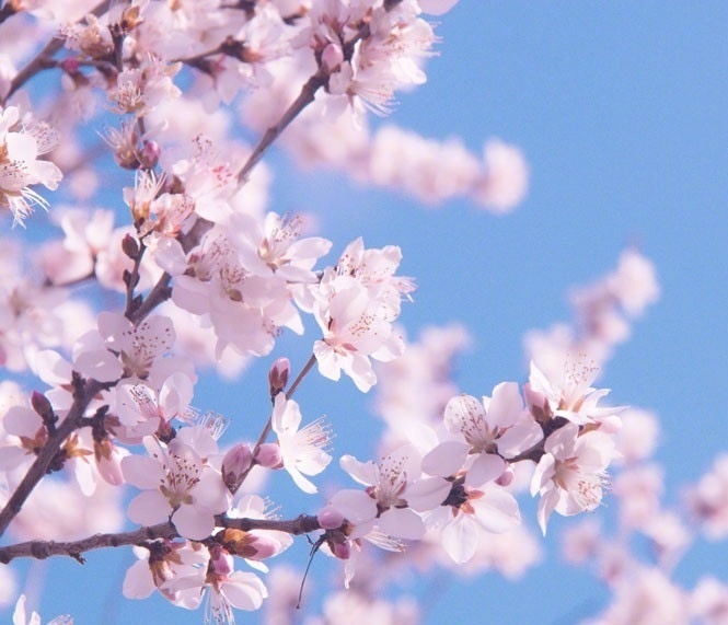 江南六言古诗,江南六大古镇古诗