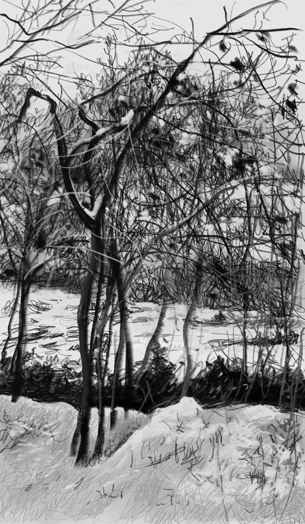 艺术家杨国辛作品,杨国辛油画作品欣赏