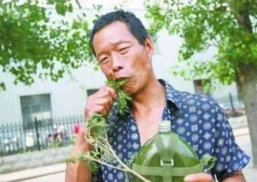 全球异食癖奇葩食物大盘点,世界上5种不可思议的食物