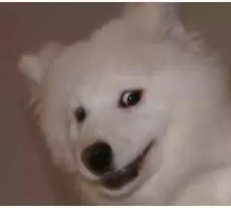 翻身恐怖片,国产恐怖片最后一部巅峰之作