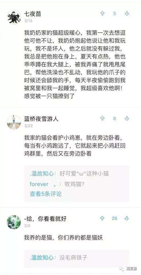喵星人战斗力有多强,喵星人智商101