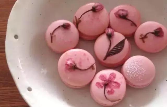 樱花美食一览表,樱花诱人的美食