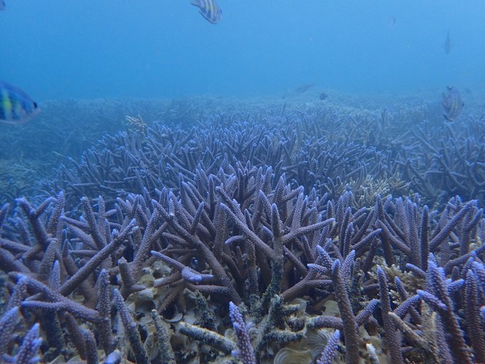 帕劳陆地环岛游,帕劳深度游玩攻略