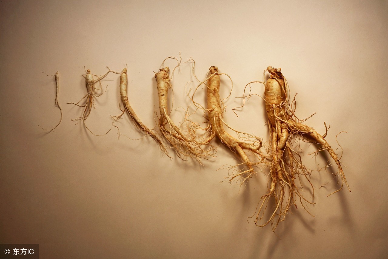 中药材红参价格,云南大红参中药材