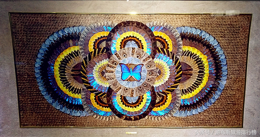 上海昆虫博物馆有哪些昆虫,上海昆虫博物馆照片