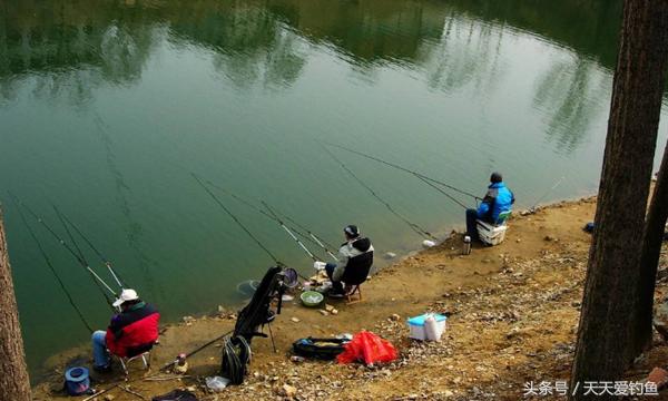 肥水黑坑鱼难钓,黑坑老司机帮你分析原因找到得解决之道