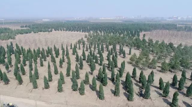 建筑央企如何有效提升核心竞争力,雄安第一家建筑公司