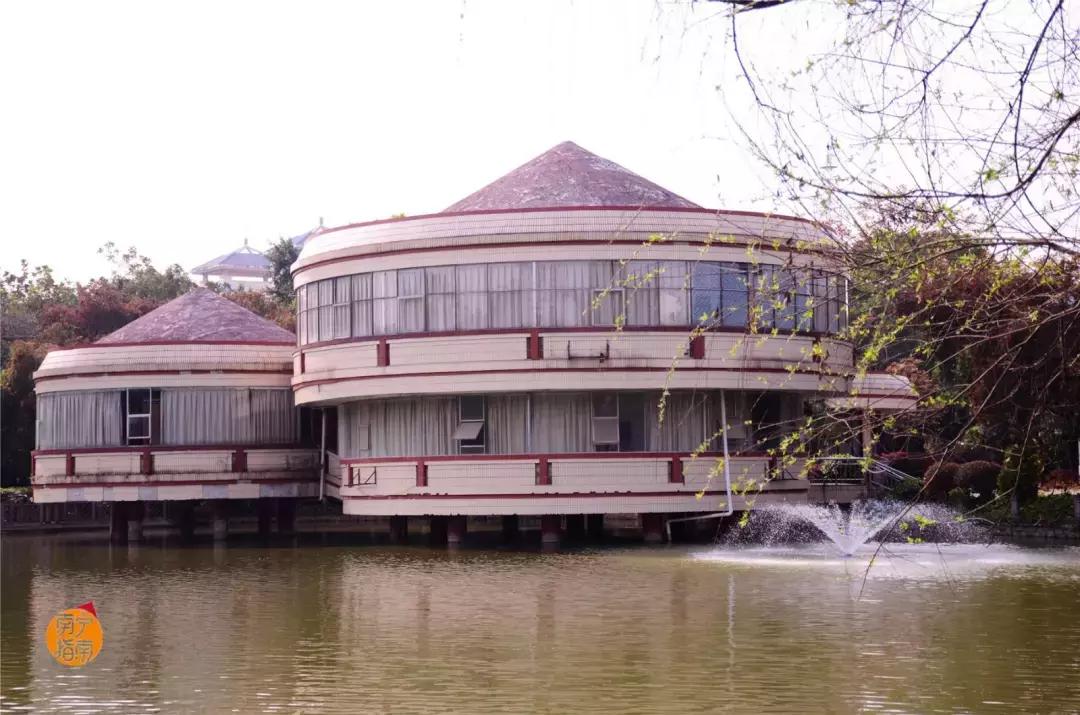 金花茶公园景点,走进金花茶公园