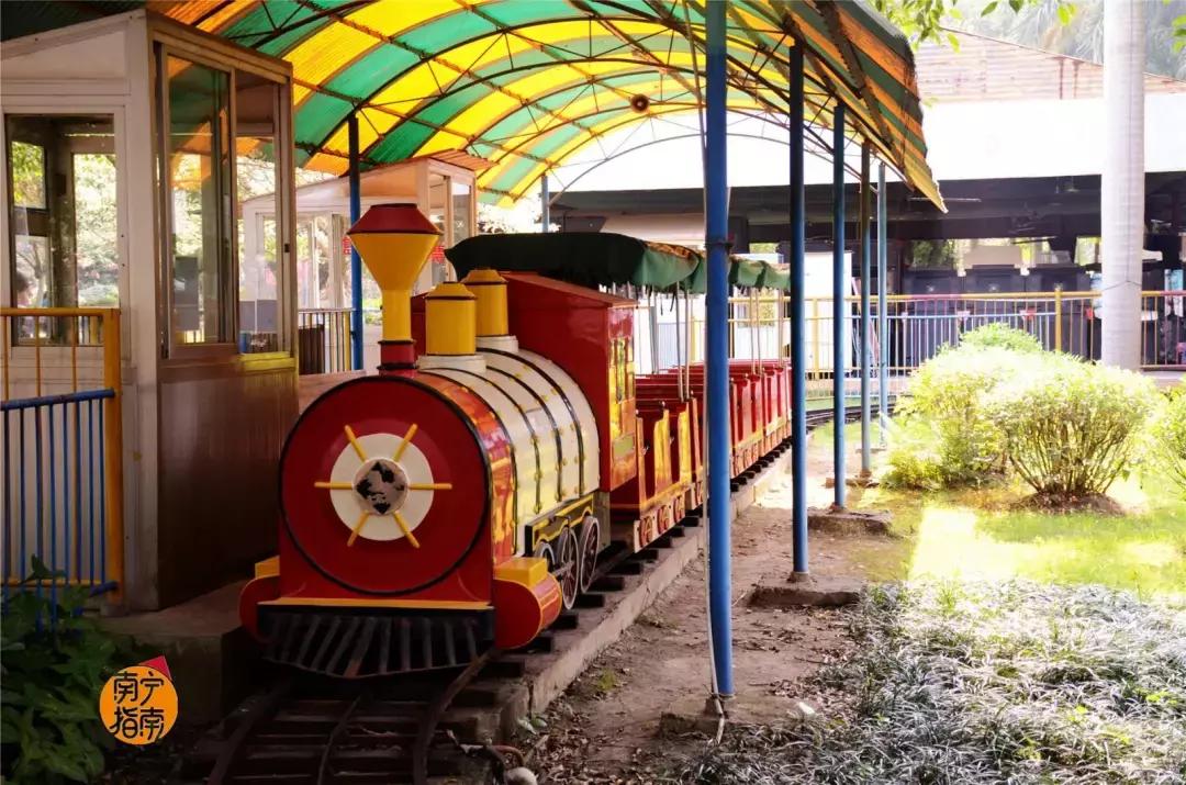 金花茶公园景点,走进金花茶公园