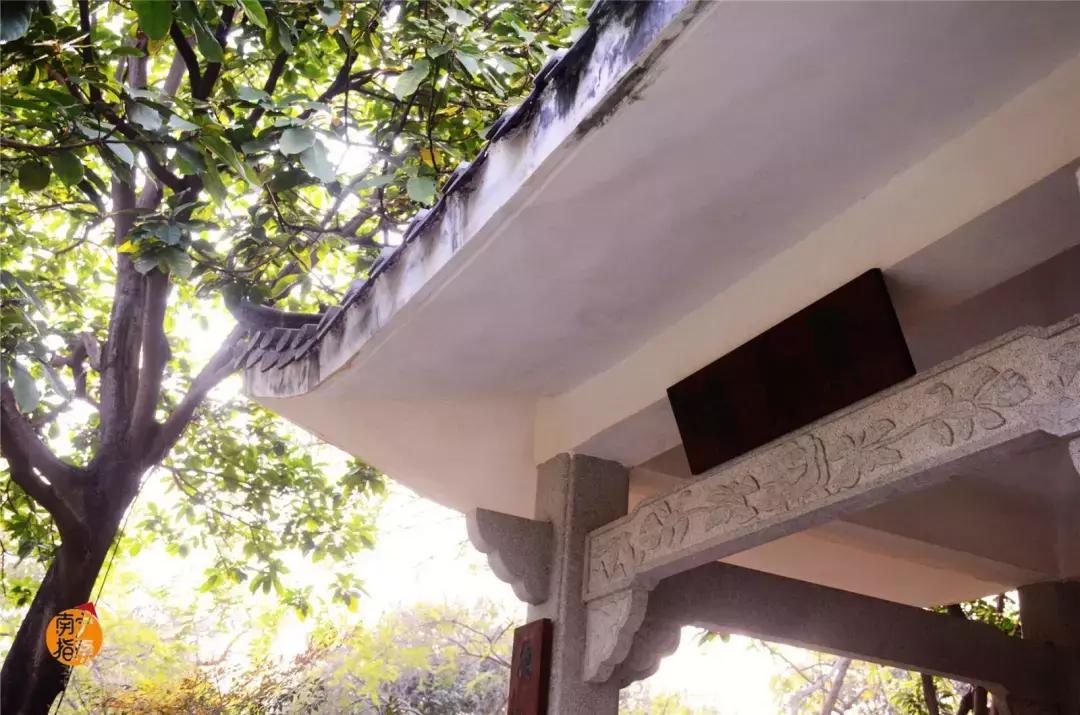 金花茶公园景点,走进金花茶公园