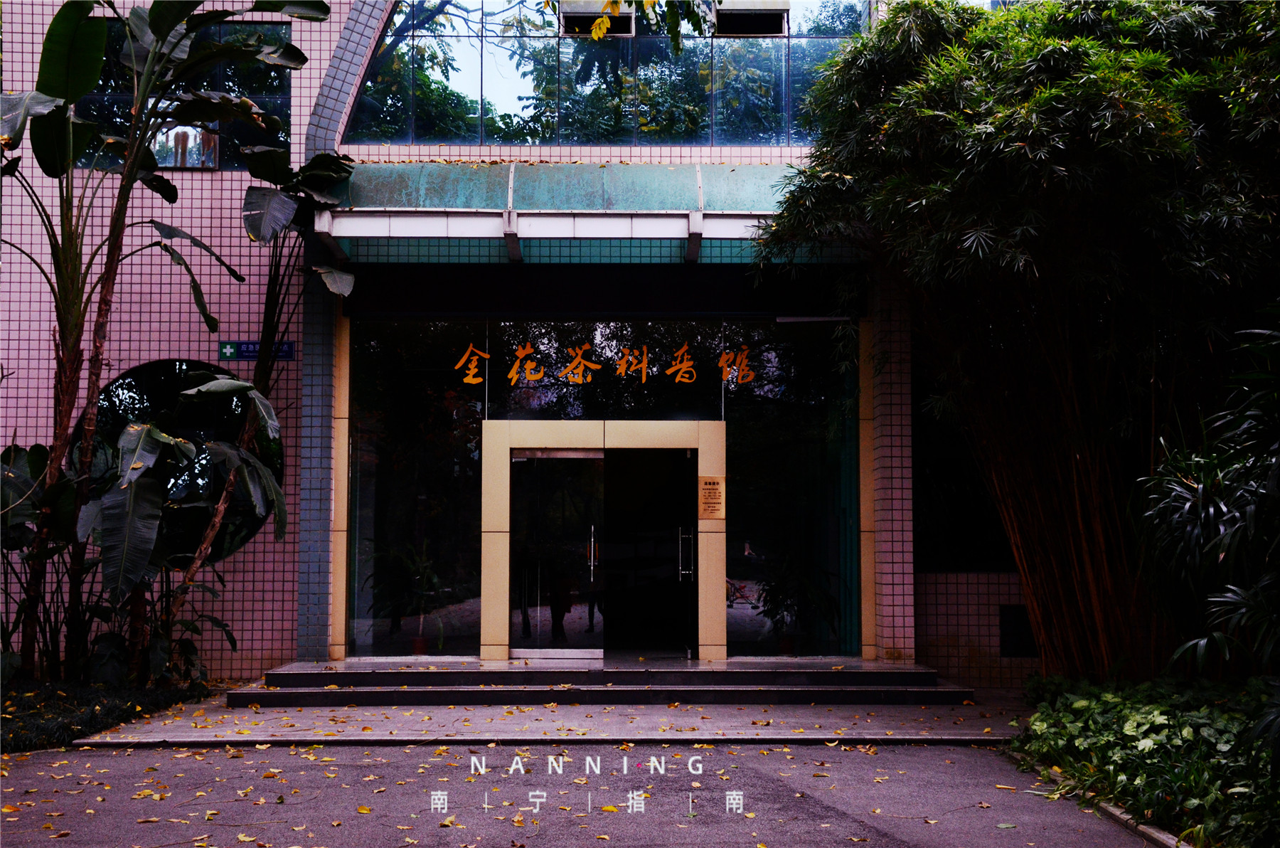 金花茶公园景点,走进金花茶公园