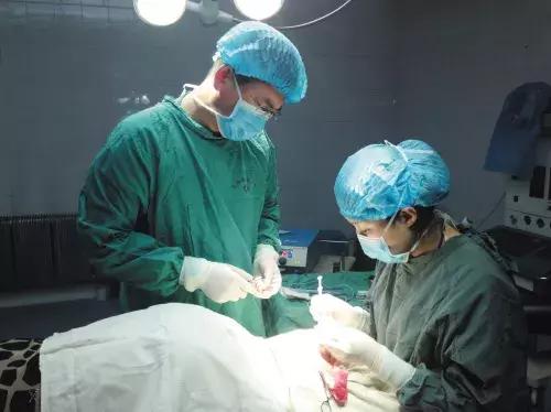 避孕药的避孕原理主要是,紧急避孕药避孕原理