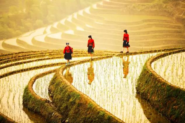 广西最美花海在哪里,广西小众美丽村庄