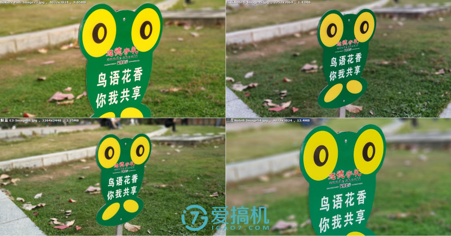 卓尔不群3种效果,卓尔不群三色对比