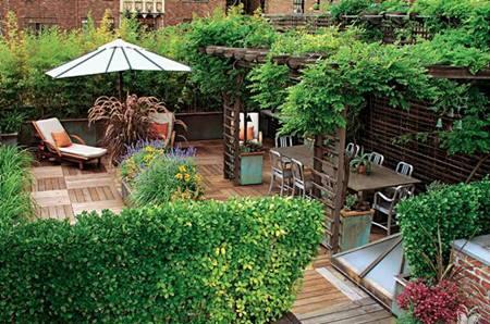 每个人都希望家里也有一个花园,希望自己有个带院子的楼房