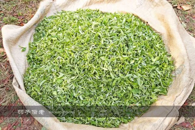 云南沧源靠近哪个国家,云南沧源最好玩的地方