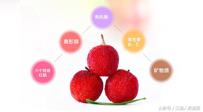 杨梅酒的制作方法可以用塑料瓶吗,杨梅酒的制作方法步骤视频