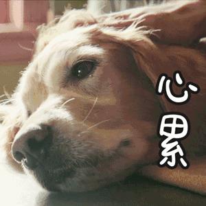 连云港墟沟各小区最新房价一览表,连云港博威江南明珠苑二手房房价