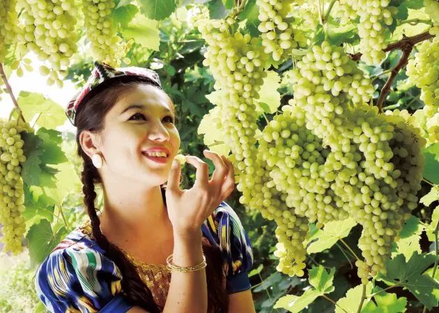 生活在吐鲁番的感受,生活在吐鲁番是一种怎样的体验