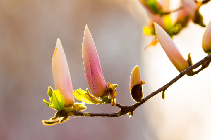 跟周围人关系都不好怎么做,和大家处不好关系