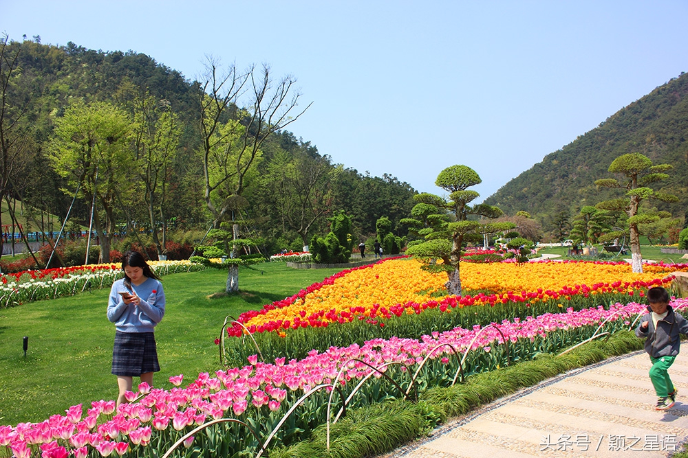 宁波植物园樱花最佳拍摄,花花世界桃博园