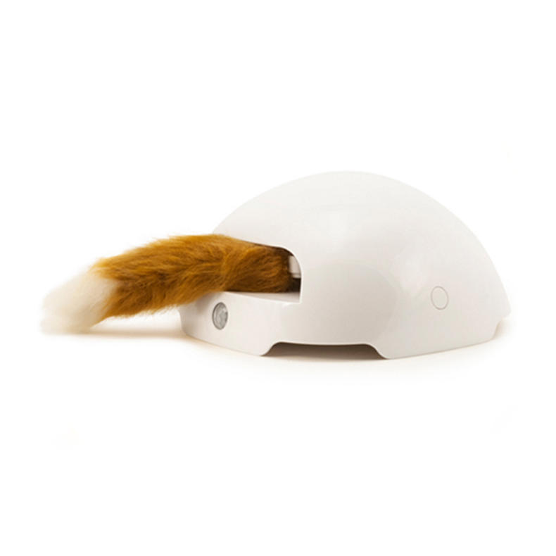 养猫家里不能有哪些东西 (家里养猫的应该知道哪些小技巧)