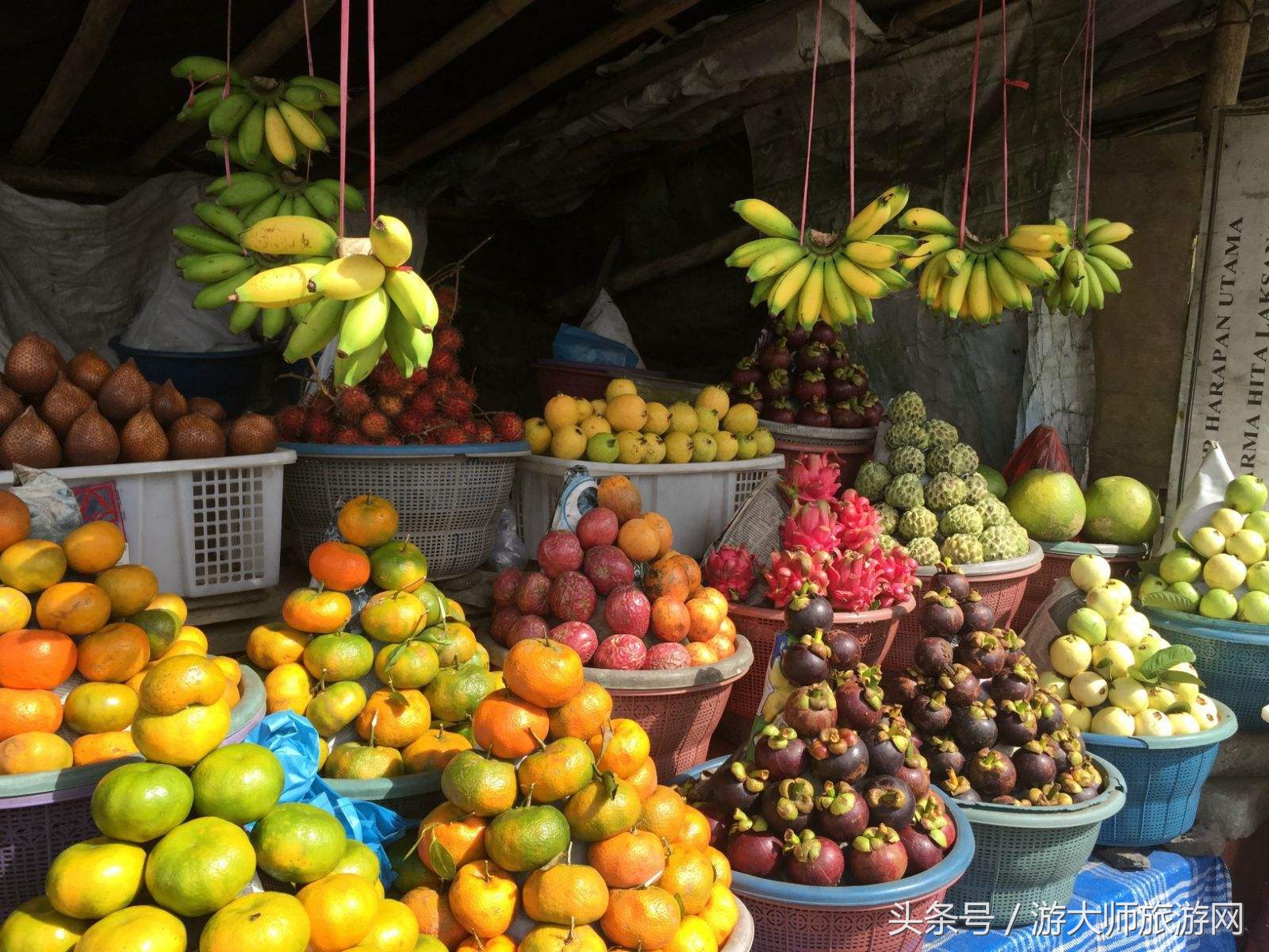 南维巴里岛避暑攻略,巴厘岛南纬八度自由行