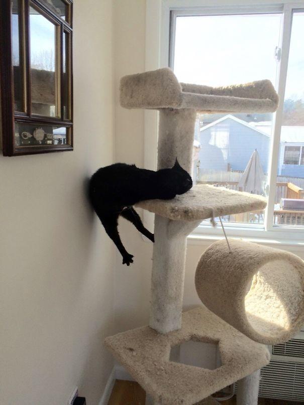 不堪入目，暗访喵届吸毒场所，竟……