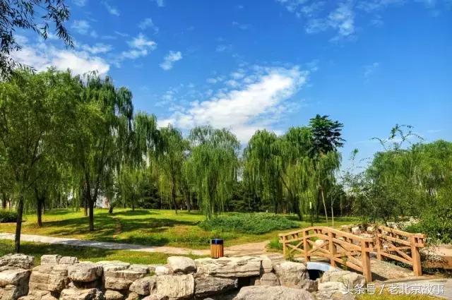 北京40个春游好去处!赏花、放风筝、爬山、烧烤……想怎么嗨都行!