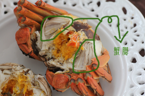 绑着的螃蟹怎么清洗干净,活螃蟹怎么清洗和蒸视频