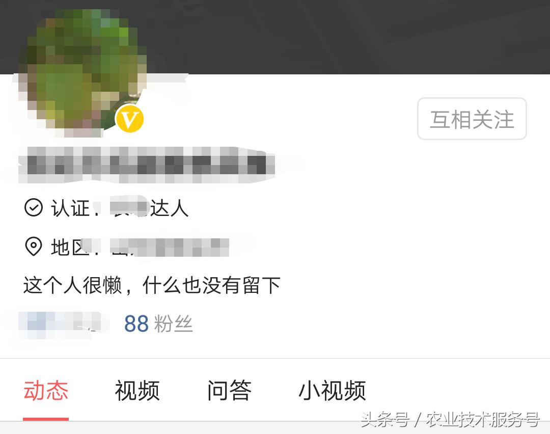 三农自媒体申请黄v的条件,三农黄v认证怎么开通