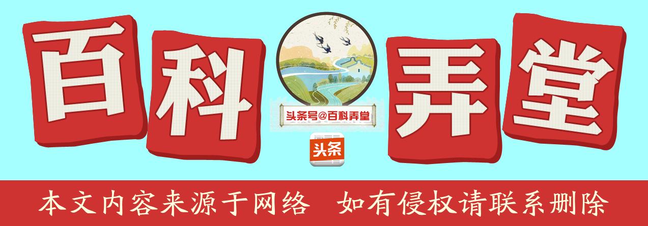 笠翁对韵韵文,笠翁对韵全文注音版朗读视频