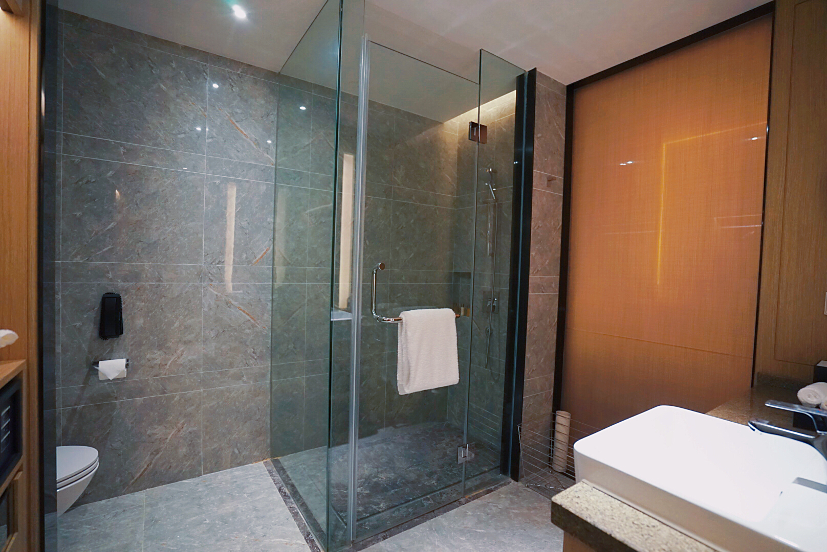 上海酒店国家会展中心,上海国家会展中心中国酒店