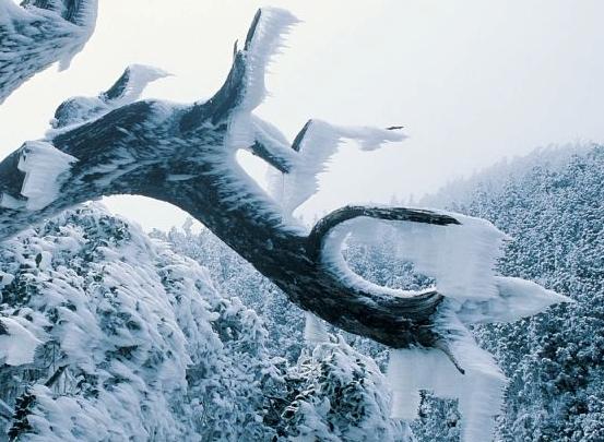 职场打击对手的技巧,对付职场对手最好的方法