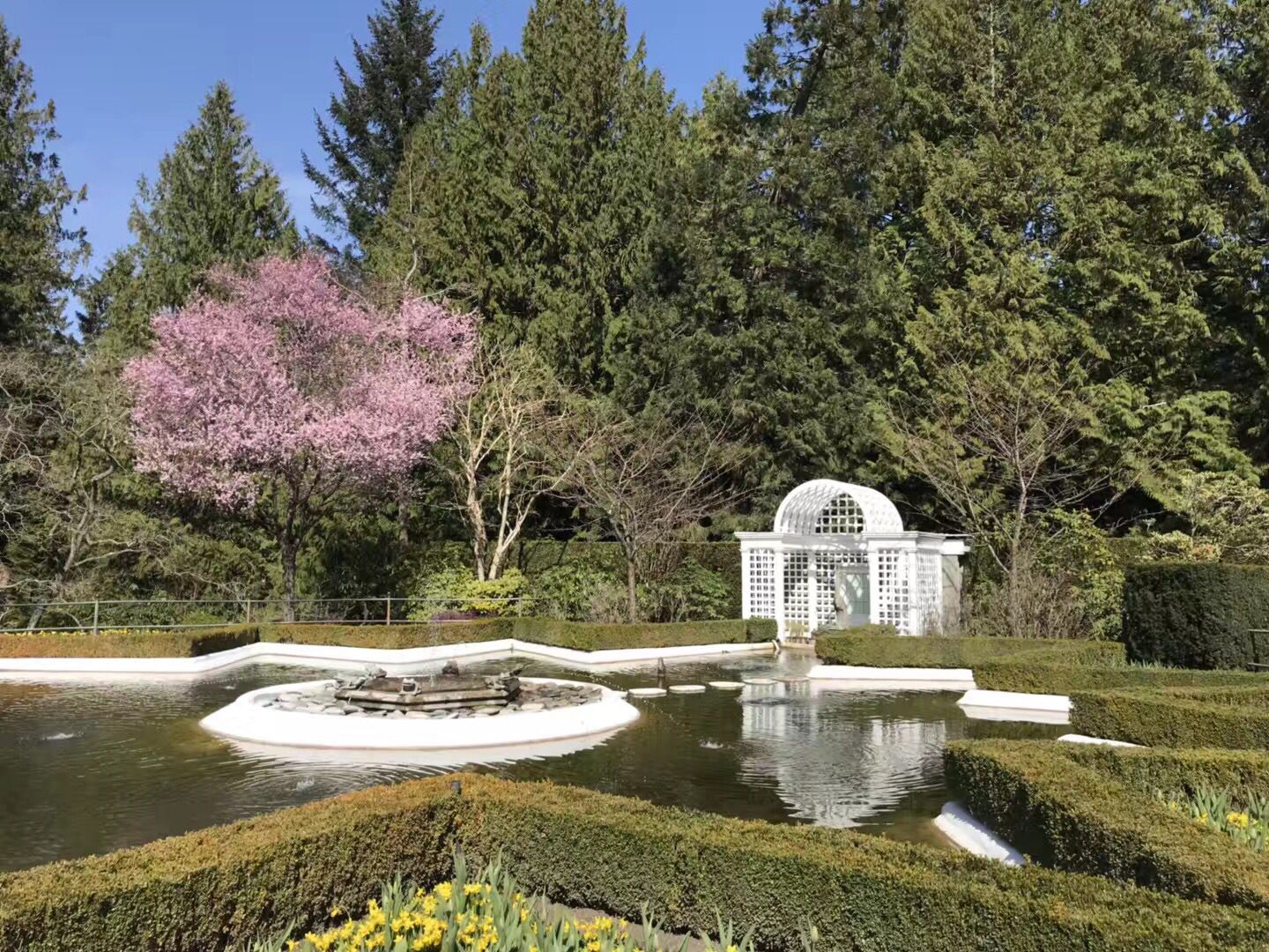 加拿大温哥华岛旅游,畅游加拿大