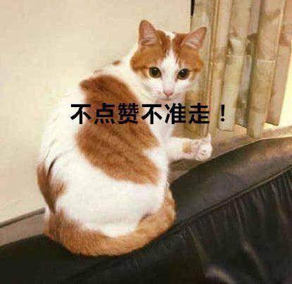 鏂楅奔浠ュ墠涓夐獨鍒嗗埆鏄摢浜涗汉,鏂楅奔鐜板湪涓夐獨鍒嗗埆鏄摢浜涗汉