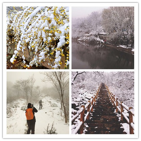 治脚气，先要肠胃调理顺，四月常吃这种能量菜，食补效果立竿见影