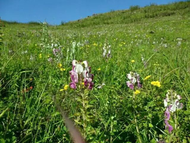 这几年巧家的变化,巧家的生活变化