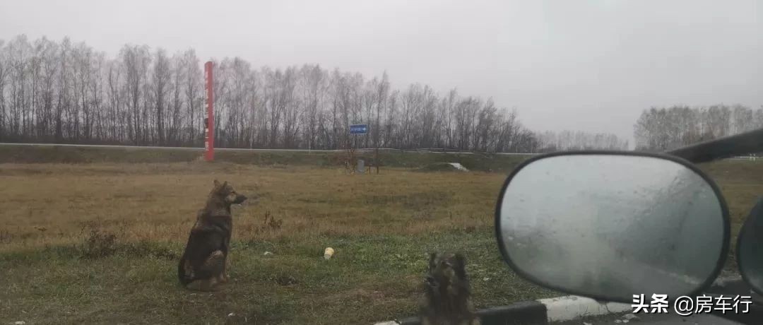 房车自驾游之环游世界,房车漫游记家在路上