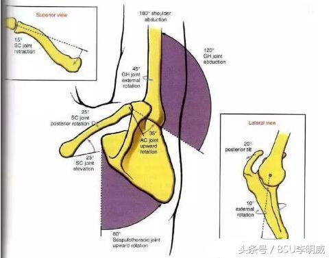 肩关节撞击症如何引起的,肩关节弹响撞击三个动作康复