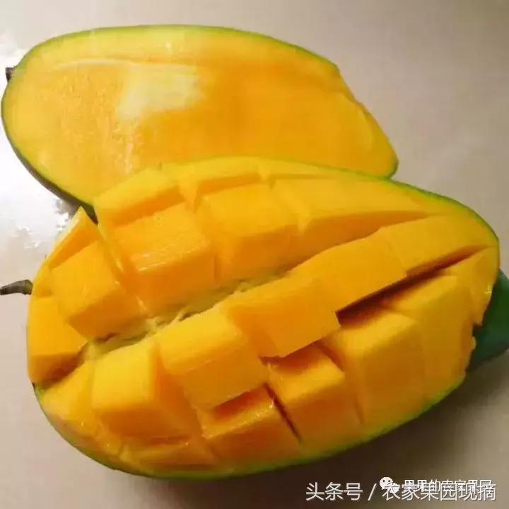 芒果有多少品种哪种更好吃,什么芒果品种最大最好吃