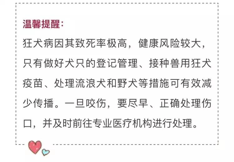 被狗狗咬了的所有方法,被家里的狗狗咬了轻微破皮怎么办