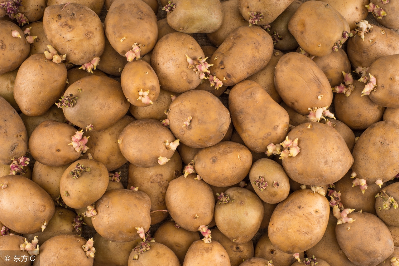 孕期这些东西千万不要碰,孕期要警惕摄入的调料你肯定吃过