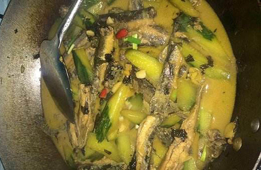 泥鳅野生及人工养泥鳅营养一样吗,野生的土泥鳅