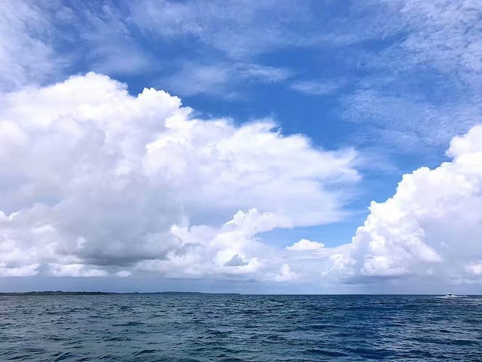 帕劳旅行的日记,帕劳的旅行日记