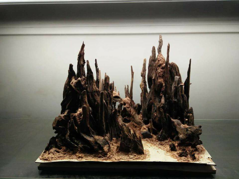 鱼缸改造草缸造景新手教程,新手草缸简单造景图