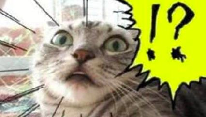 100人民币在香港能买到什么,香港300块人民币可以吃什么