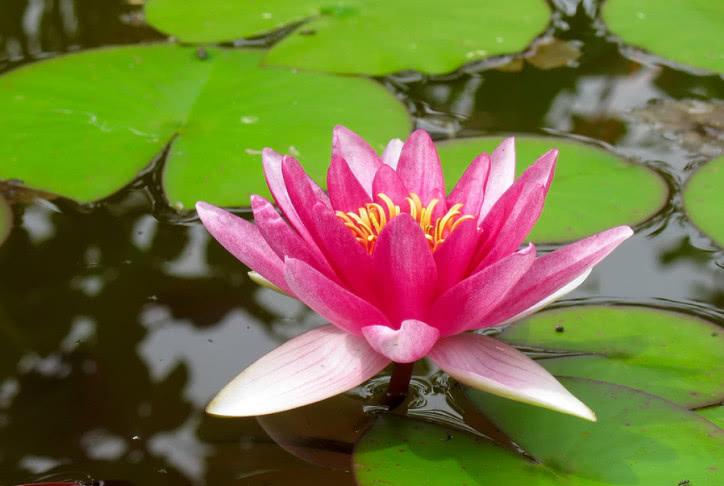 求领导办事领导却说别急,求领导帮忙办事领导为难怎么说