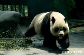 成都风景最好看的地方,成都最适合旅游的城市