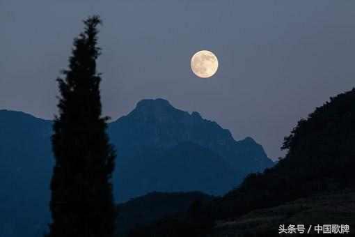 七言诗句南柯一梦,表达南柯一梦的诗